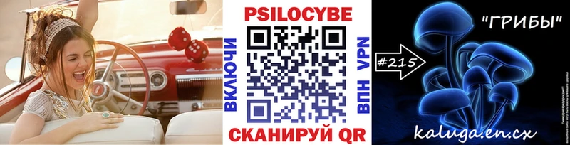 Купить закладки  Абдулино  Галлюциногенные грибы Psilocybe 